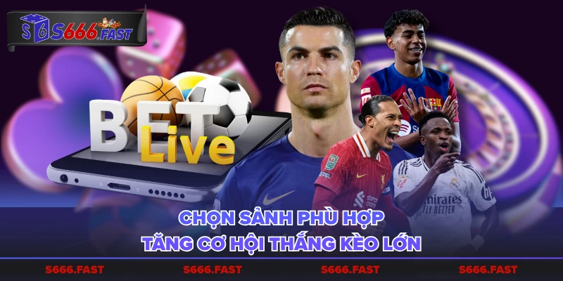 Chọn sảnh phù hợp tăng cơ hội thắng kèo lớn